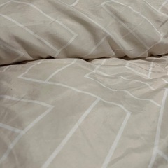 ニトリ　シングル　布団（薄手）の画像