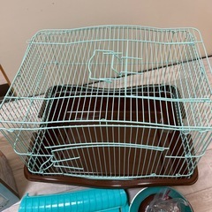 ハムスター！ゴールデンハムスター！ハウス
の画像