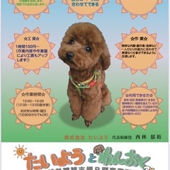 就労継続支援Ｂ型事業所 ★たいよう と わんおく★   の画像