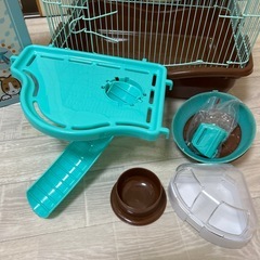 ハムスター！ゴールデンハムスター！ハウス
の画像