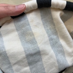 Betta/ﾍﾞﾋﾞｰｽﾘﾝｸﾞの画像