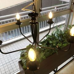 シャンデリア 5灯 モダンスタイル ブラック LED電球対応 引掛シーリング式 天井照明 ジャパンリンク貿易 展示品・アウトレットの画像