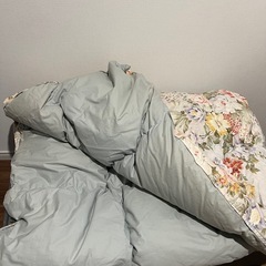 羽毛布団　シングルの画像