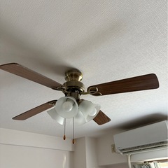 シーリングファン　シーリングライトの画像
