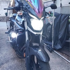 YAMAHA MTｰ25の画像