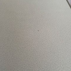 こたつではありません（ヒーター外してます）の画像