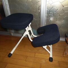 バランスチェア　折りたたみ式の画像