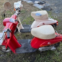 ☆旧車☆SUZUKI 薔薇 (CA13A) 2台セット 不動 愛知県一宮市の画像