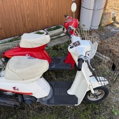 ☆旧車☆SUZUKI 薔薇 (CA13A) 2台セット 不動 愛知県一宮市の画像