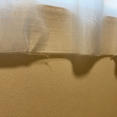 【受付終了】決まりました。
の画像