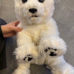 くまぬいぐるみ　お話し中の画像