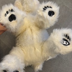 くまぬいぐるみ　お話し中の画像