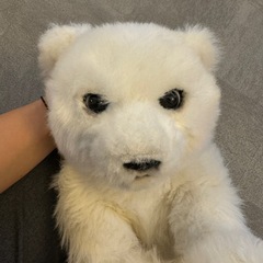 くまぬいぐるみ　お話し中の画像