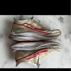 wmnsズームフライ3の画像