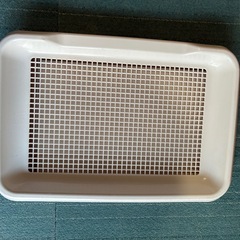 犬用　トイレトレーの画像