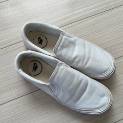 NIKE コートレガシースリッポンの画像