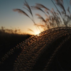 関西カメラサークル📸20〜30代