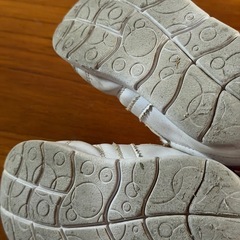 16センチ POLOスニーカーの画像