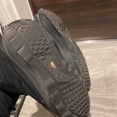 THENORTHFACEブーツの画像