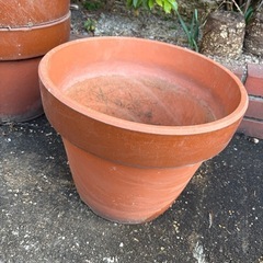 植木鉢（一つ150円）の画像