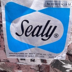 ★無料家具★シングルベッドマットレスのみ！の画像