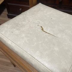 レトロ　椅子の画像