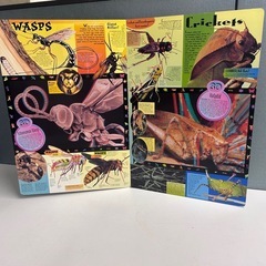 絵本　3D絵本の画像