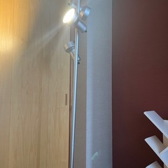 【12/20迄】スタンドライトの画像