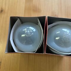 旭光電機株式会社・LW100V57W/55｜シリカ電球 ホワイトの画像