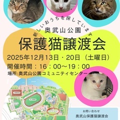 奥武山保護猫譲渡会