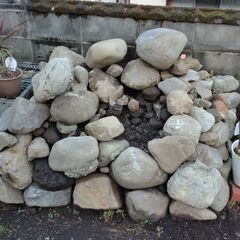 庭石あげます。　無料！の画像