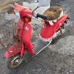鍵無し　バラ　薔薇　原付　50ccの画像