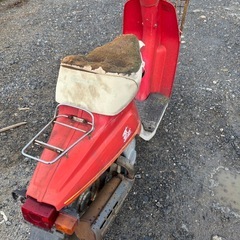 鍵無し　バラ　薔薇　原付　50ccの画像