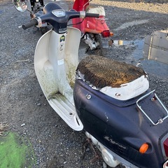 不動　ジョルノ　2stの画像