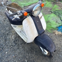 不動　ジョルノ　2stの画像