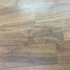 ID:166058　ダイニングテーブル　※らくがきアリの画像