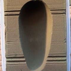 人工蛹室（クワガタ用）の画像