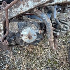 モンキーR だったものの画像