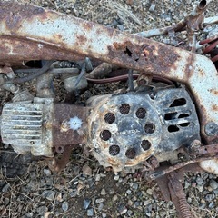 モンキーR だったものの画像