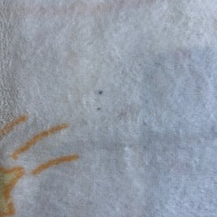綿毛布の画像