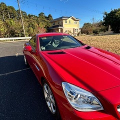 SLK200ブルーエフィシェンシースポーツセカンダーリエアポンプ...