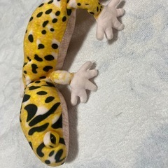 ヤモリ　ぬいぐるみの画像