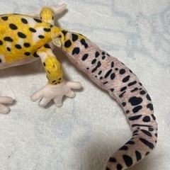 ヤモリ　ぬいぐるみの画像