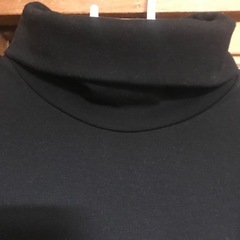 ２枚まとめてシャツとヒートテックの画像