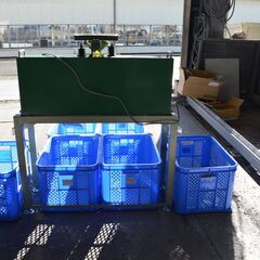 干し柿用　エトバス選果機架台　選果効率UP！の画像