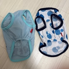 夏用 犬服セットの画像