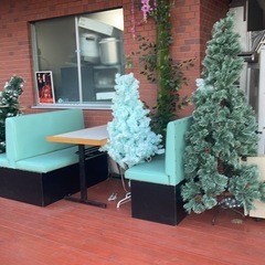 クリスマスツリーの画像