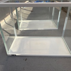 GEX水槽の画像