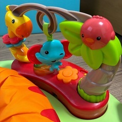Fisher-Price レインフォレスト・ジャンパルー IIの画像