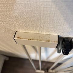 スチールゲート
の画像